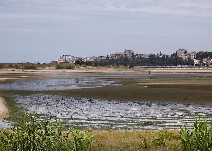 Porto Ocean Flat דירה